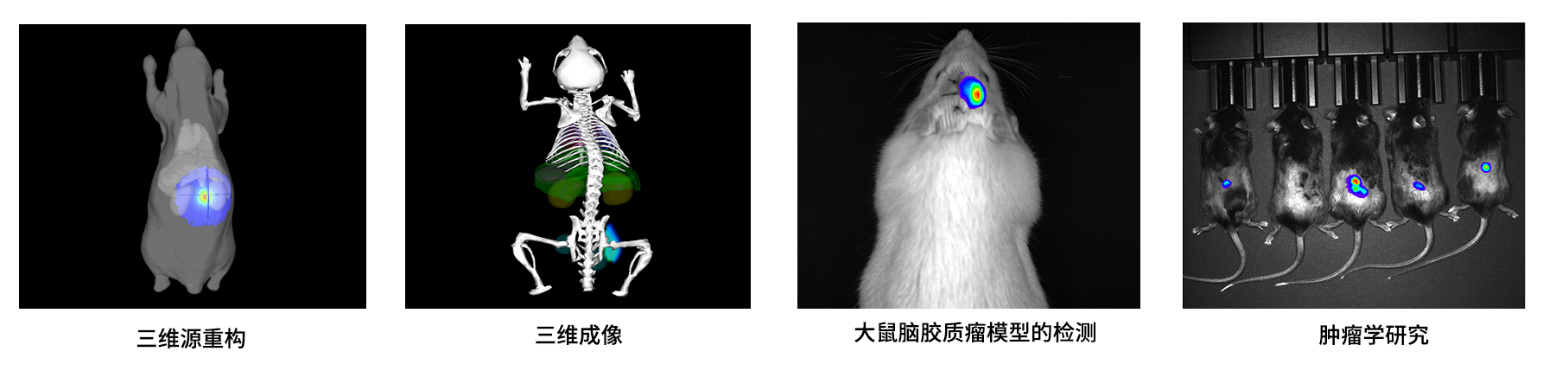 AniView Kirin 小動(dòng)物活體三維成像系統(tǒng)應(yīng)用案例 AniView Kirin 小動(dòng)物活體三維成像系統(tǒng)應(yīng)用案例